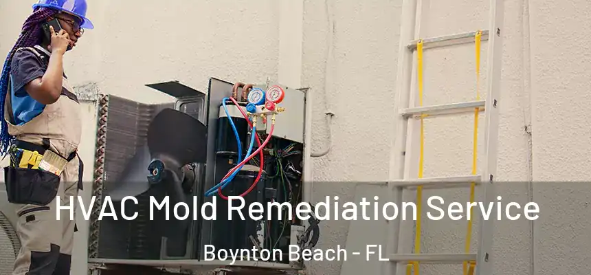  HVAC Mold Remediation Service Boynton Beach - FL
