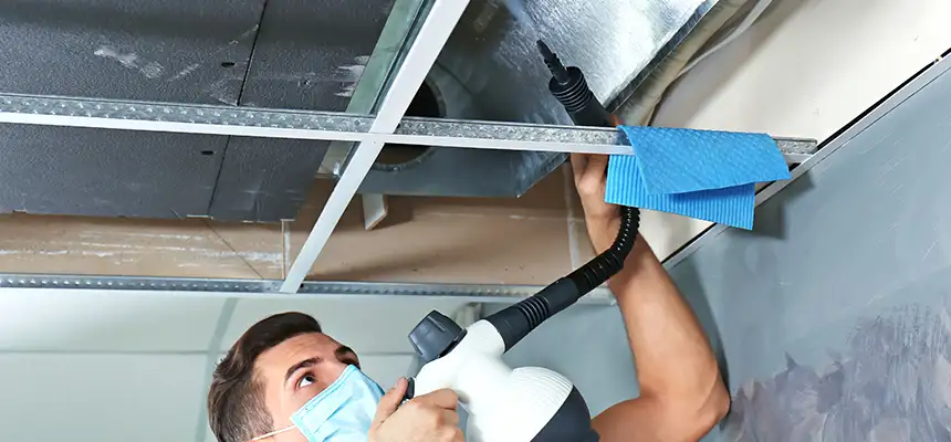 Our Air Duct Rodent Removal Services in Boynton Beach, FL