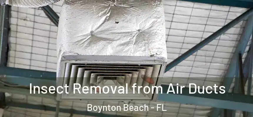  Insect Removal from Air Ducts Boynton Beach - FL