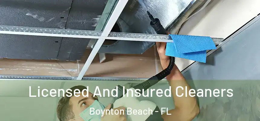  Licensed And Insured Cleaners Boynton Beach - FL