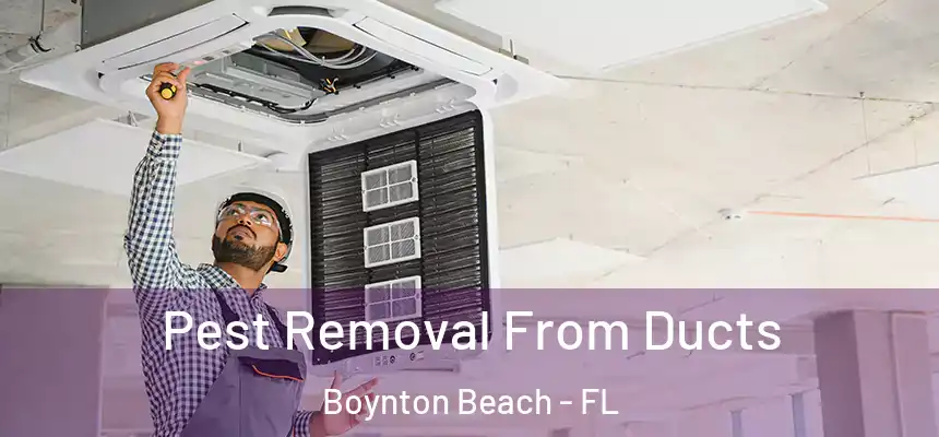  Pest Removal From Ducts Boynton Beach - FL