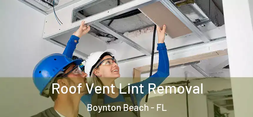  Roof Vent Lint Removal Boynton Beach - FL