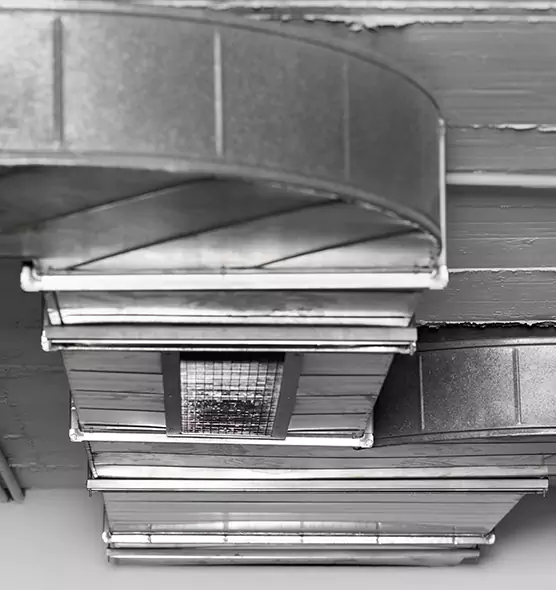 Professional Air Duct Pest Removal in Boynton Beach, FL