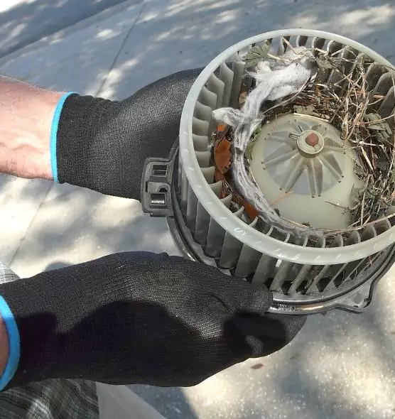 About Air Duct Rat Removal in Boynton Beach, FL