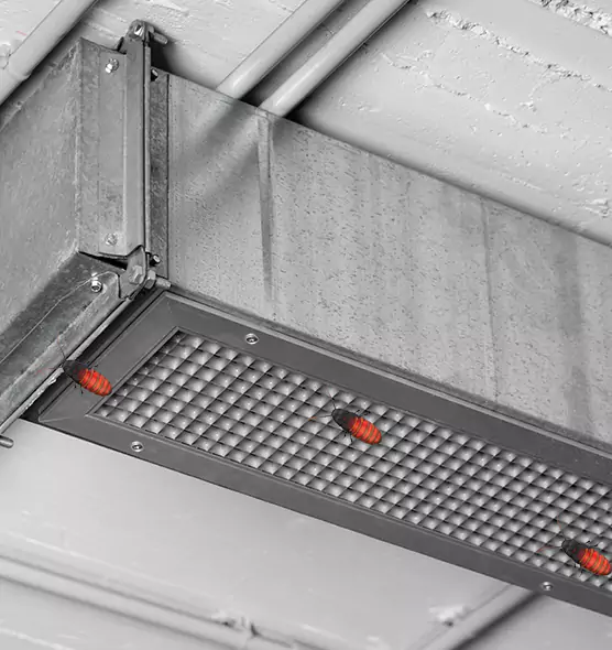 Affordable Insect Removal from Air Ducts in Boynton Beach, FL