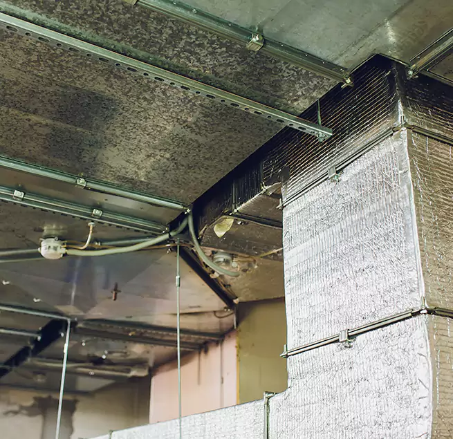 Why Homeowners & Businesses Trust Us in Boynton Beach, FL?